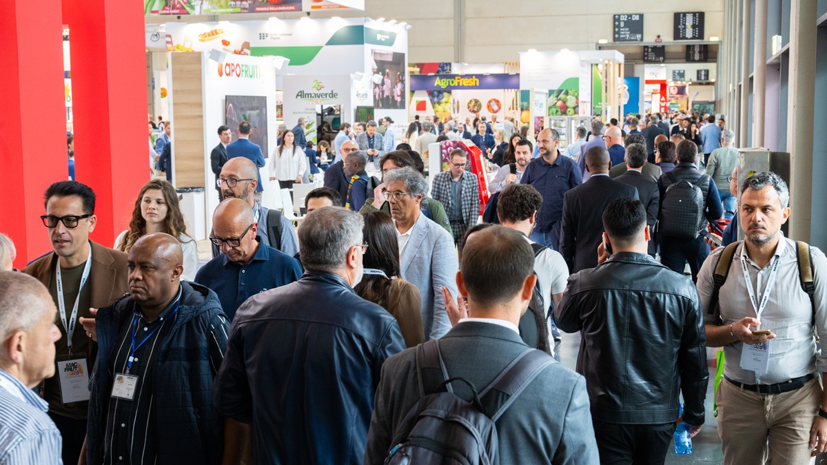 MF26_Exhibition halls.jpg